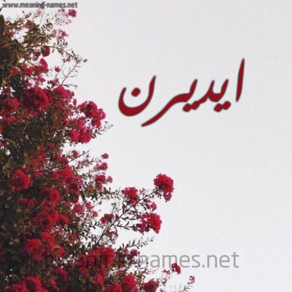 شكل 18 صوره الورد الأحمر للإسم بخط رقعة صورة اسم ايديرن idirn