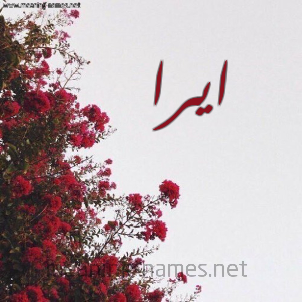 شكل 18 صوره الورد الأحمر للإسم بخط رقعة صورة اسم ايرا ira
