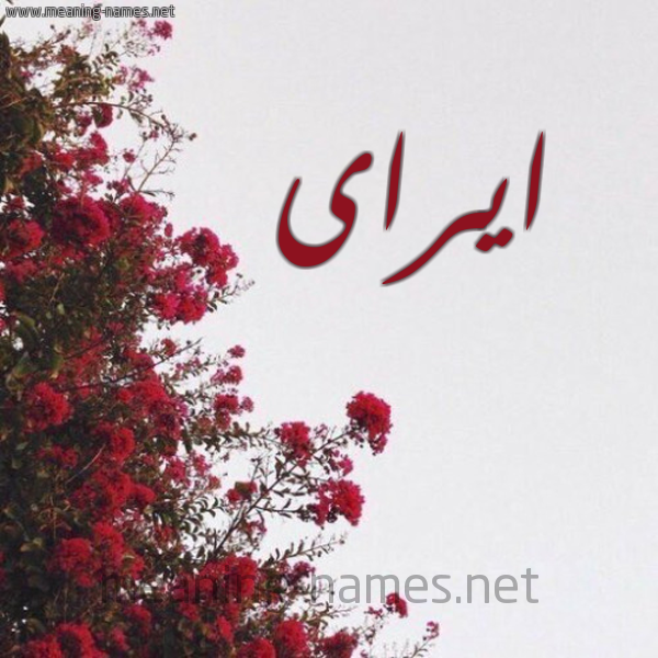 شكل 18 صوره الورد الأحمر للإسم بخط رقعة صورة اسم ايراى Eira