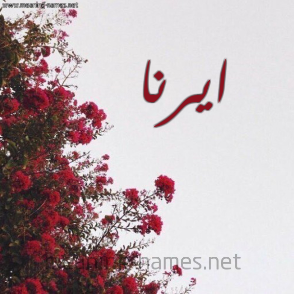 شكل 18 صوره الورد الأحمر للإسم بخط رقعة صورة اسم ايرنا irna