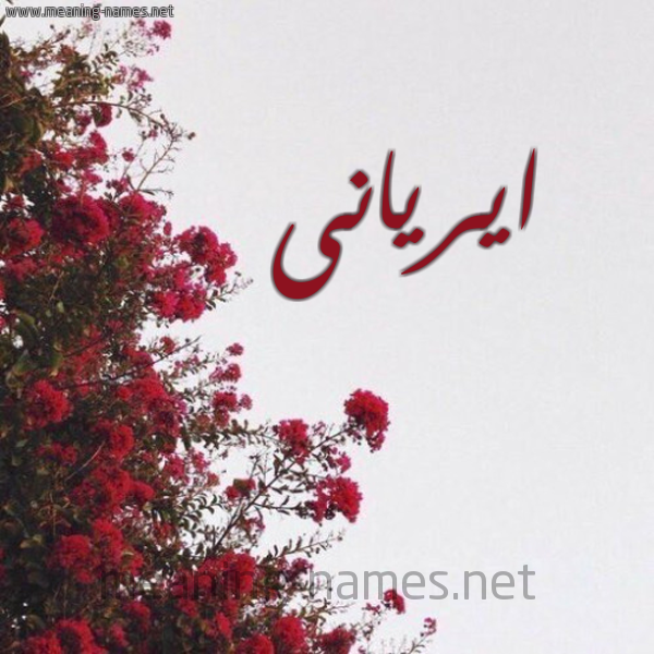 شكل 18 صوره الورد الأحمر للإسم بخط رقعة صورة اسم ايريانى Eirian