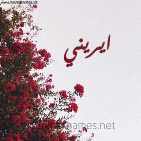 شكل 18 صوره الورد الأحمر للإسم بخط رقعة صورة اسم ايريني erini