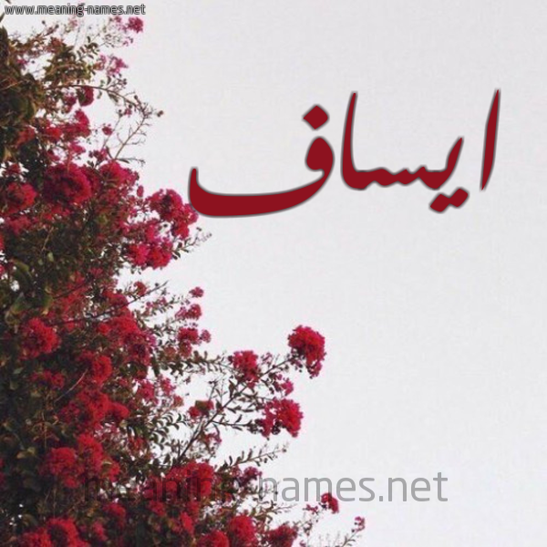 شكل 18 صوره الورد الأحمر للإسم بخط رقعة صورة اسم ايساف esaaf