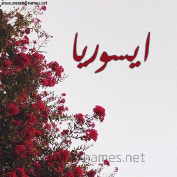 شكل 18 صوره الورد الأحمر للإسم بخط رقعة صورة اسم ايسوريا isora
