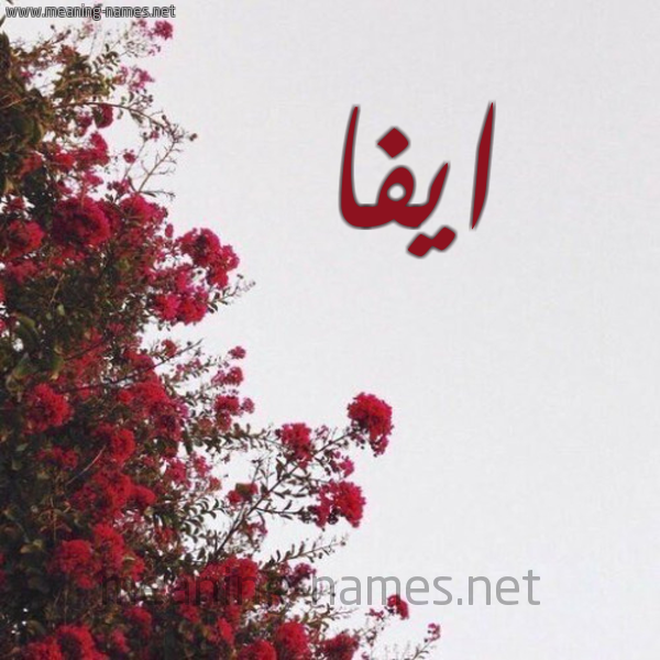 شكل 18 صوره الورد الأحمر للإسم بخط رقعة صورة اسم ايفا Aifa