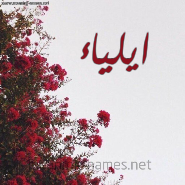شكل 18 صوره الورد الأحمر للإسم بخط رقعة صورة اسم ايلياء Aylya'a