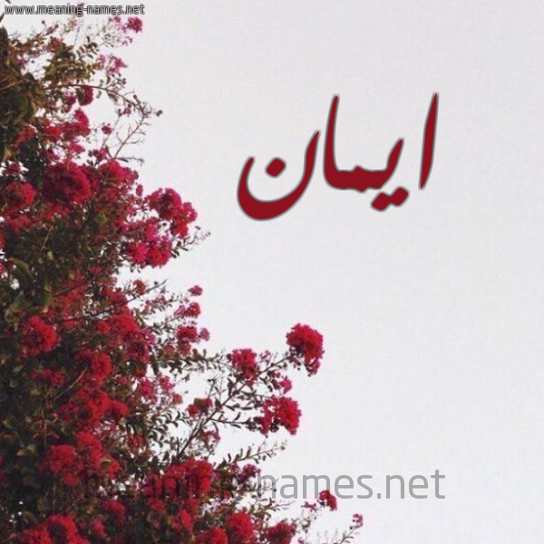 شكل 18 صوره الورد الأحمر للإسم بخط رقعة صورة اسم ايمان Eman