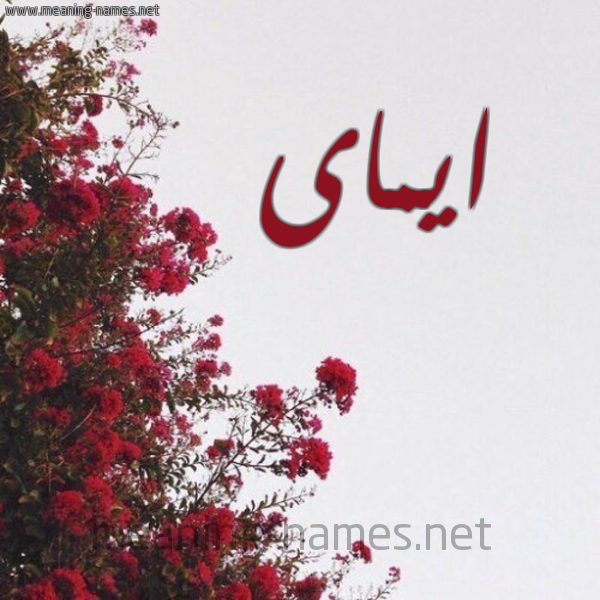 شكل 18 صوره الورد الأحمر للإسم بخط رقعة صورة اسم ايماى Emmia