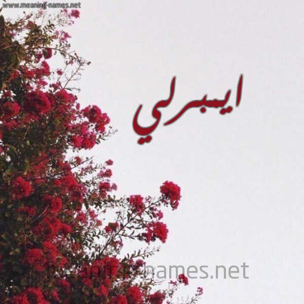 شكل 18 صوره الورد الأحمر للإسم بخط رقعة صورة اسم ايمبرلي EMBERLY