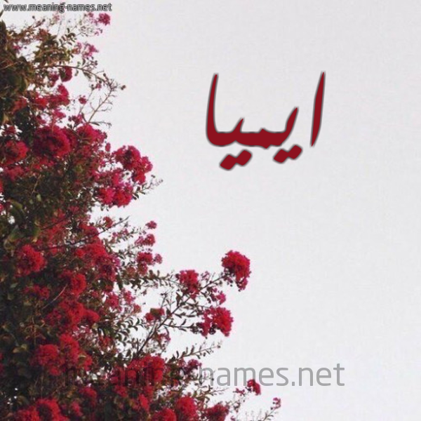 شكل 18 صوره الورد الأحمر للإسم بخط رقعة صورة اسم ايميا aymilia