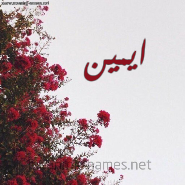 شكل 18 صوره الورد الأحمر للإسم بخط رقعة صورة اسم ايمين aymeen