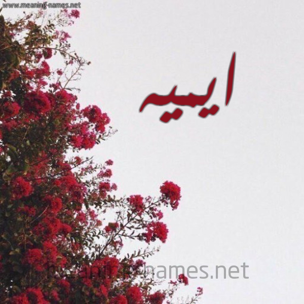 شكل 18 صوره الورد الأحمر للإسم بخط رقعة صورة اسم ايميه emeie