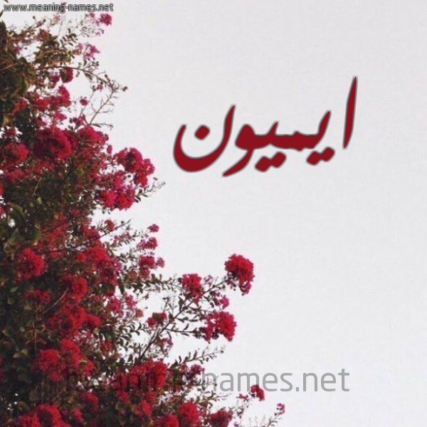 شكل 18 صوره الورد الأحمر للإسم بخط رقعة صورة اسم ايميون Eamon