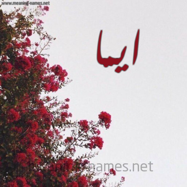 شكل 18 صوره الورد الأحمر للإسم بخط رقعة صورة اسم ايمّا AIMA