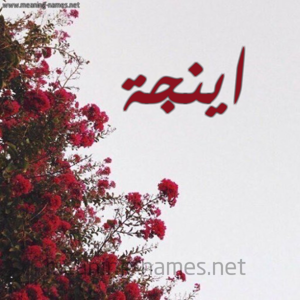 شكل 18 صوره الورد الأحمر للإسم بخط رقعة صورة اسم اينجة Enga