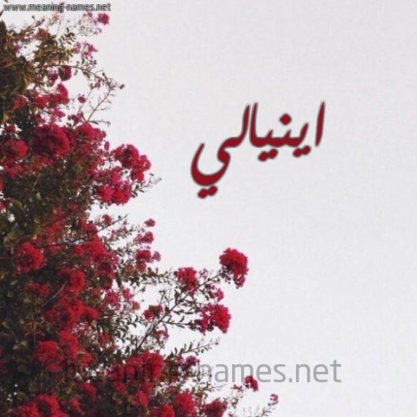 شكل 18 صوره الورد الأحمر للإسم بخط رقعة صورة اسم اينيالي Inali