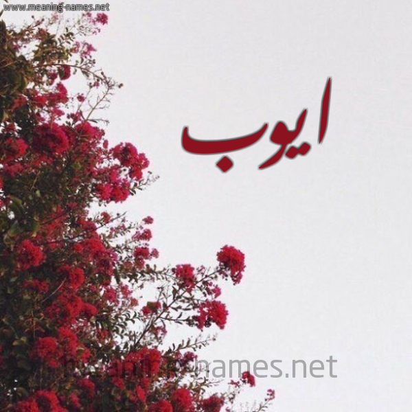 شكل 18 صوره الورد الأحمر للإسم بخط رقعة صورة اسم ايوب Aywb