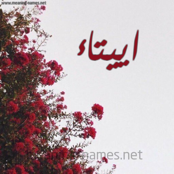 شكل 18 صوره الورد الأحمر للإسم بخط رقعة صورة اسم اييتاء Etaa
