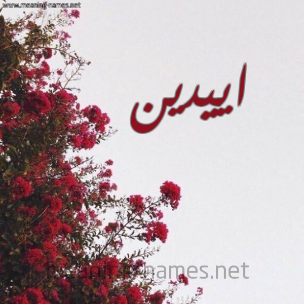شكل 18 صوره الورد الأحمر للإسم بخط رقعة صورة اسم اييدين Eden
