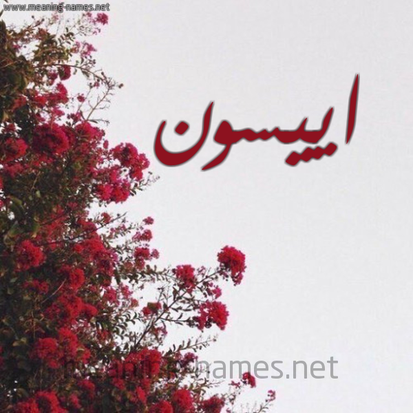 شكل 18 صوره الورد الأحمر للإسم بخط رقعة صورة اسم اييسون Aysun