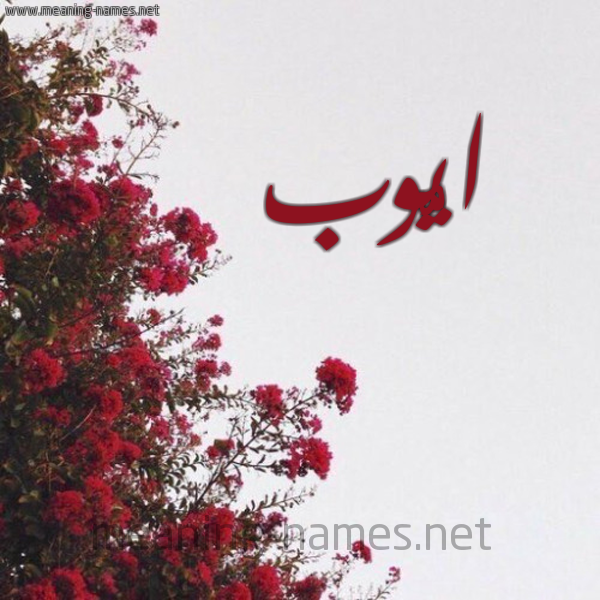 شكل 18 صوره الورد الأحمر للإسم بخط رقعة صورة اسم ايُّوب Aioub
