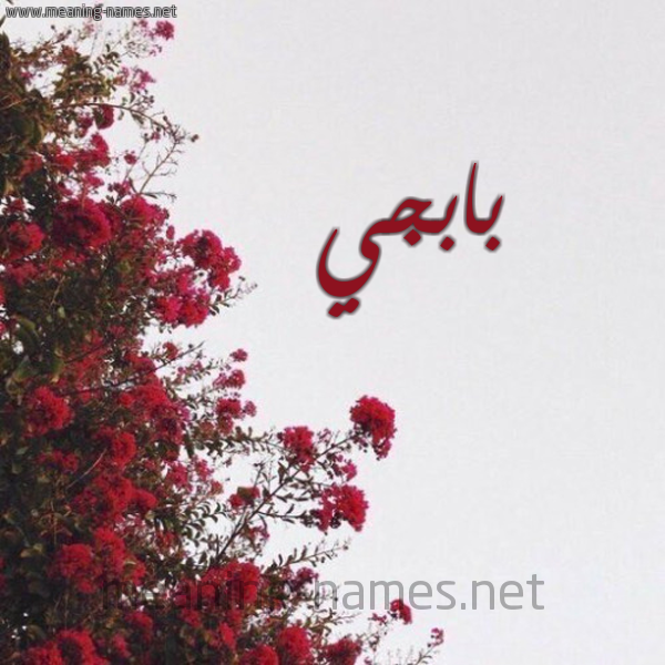 شكل 18 صوره الورد الأحمر للإسم بخط رقعة صورة اسم بابجي BABGI