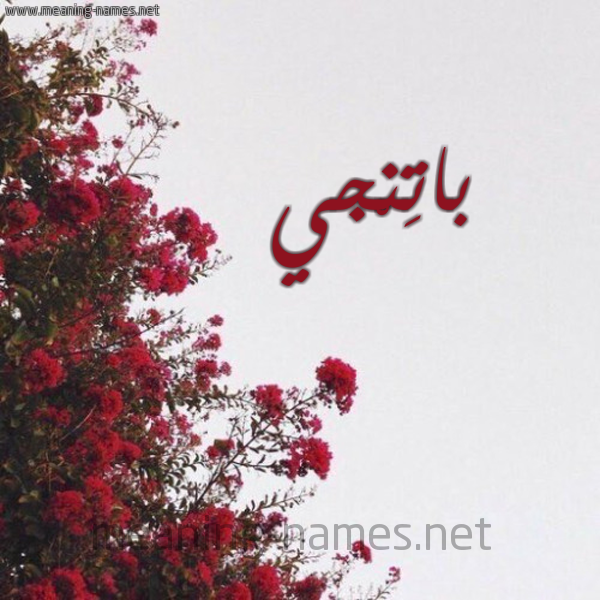 شكل 18 صوره الورد الأحمر للإسم بخط رقعة صورة اسم باتِنْجي BATENGI