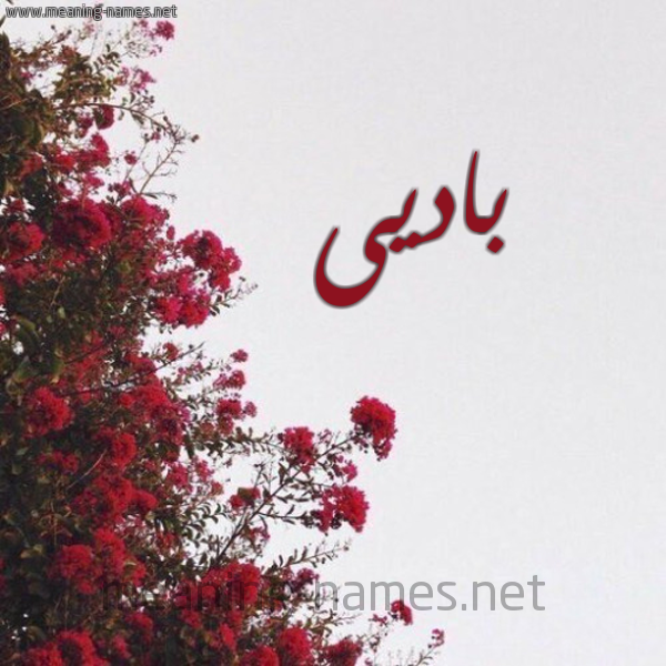 شكل 18 صوره الورد الأحمر للإسم بخط رقعة صورة اسم باديى Badi