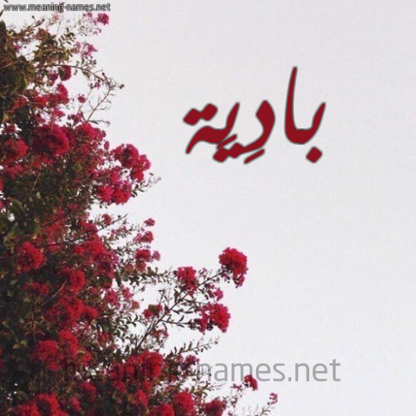 شكل 18 صوره الورد الأحمر للإسم بخط رقعة صورة اسم بادِيَة BADEIAH