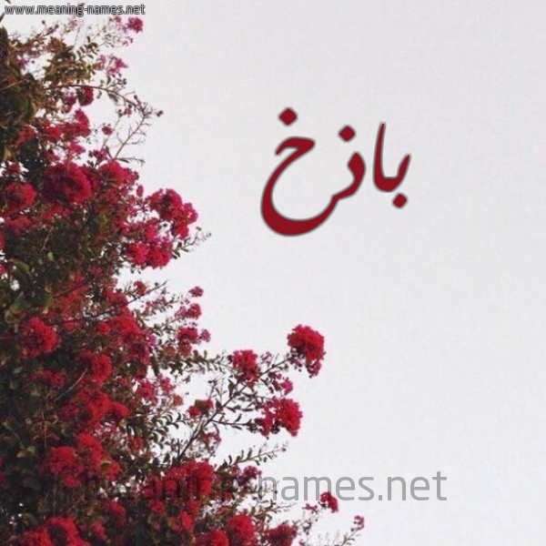 شكل 18 صوره الورد الأحمر للإسم بخط رقعة صورة اسم باذخ Badhkh