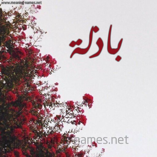 شكل 18 صوره الورد الأحمر للإسم بخط رقعة صورة اسم باذلة Badhlh