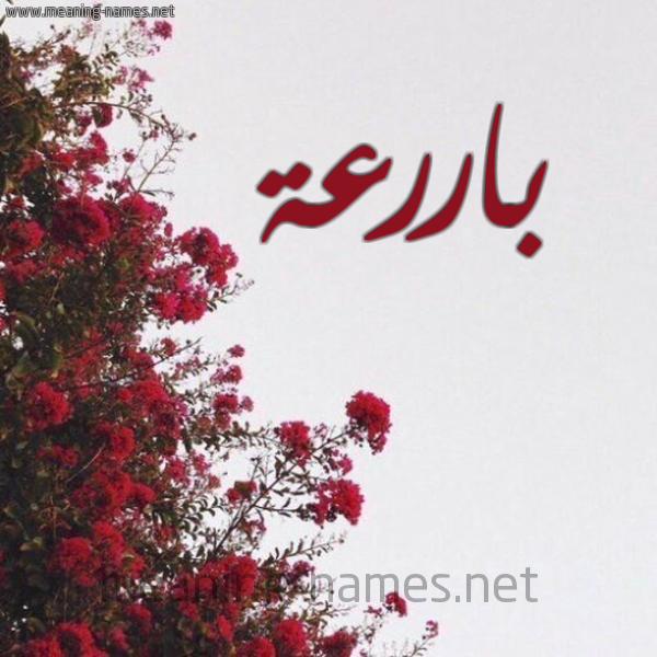 شكل 18 صوره الورد الأحمر للإسم بخط رقعة صورة اسم باررعة Bareaa