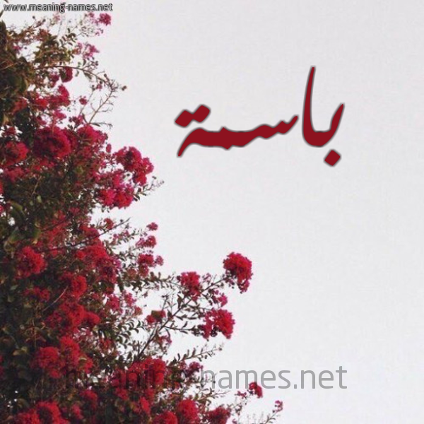 شكل 18 صوره الورد الأحمر للإسم بخط رقعة صورة اسم باسمة Basma
