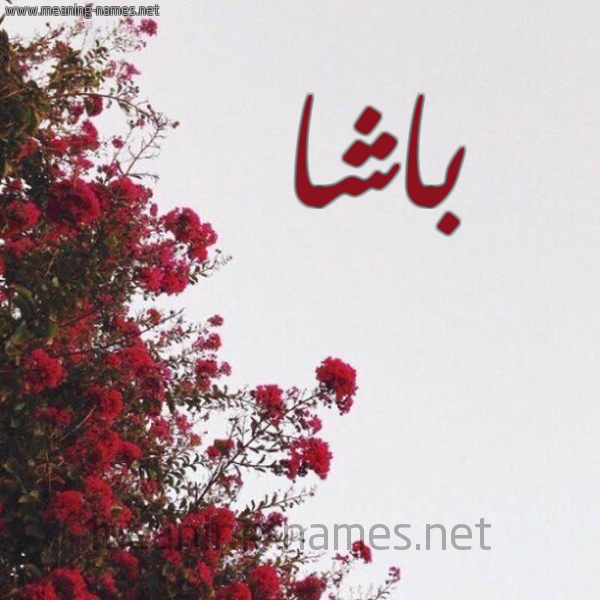 شكل 18 صوره الورد الأحمر للإسم بخط رقعة صورة اسم باشا BASHA