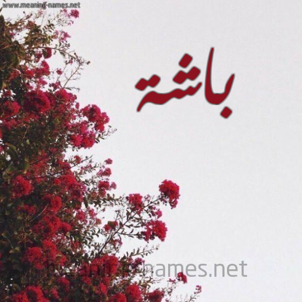 شكل 18 صوره الورد الأحمر للإسم بخط رقعة صورة اسم باشة Bashh