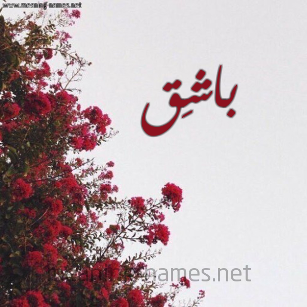 شكل 18 صوره الورد الأحمر للإسم بخط رقعة صورة اسم باشِق BASHEQ