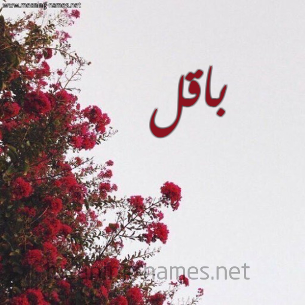 شكل 18 صوره الورد الأحمر للإسم بخط رقعة صورة اسم باقل BAQL