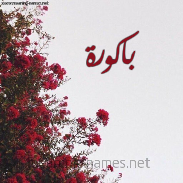 شكل 18 صوره الورد الأحمر للإسم بخط رقعة صورة اسم باكورة Bakwrh