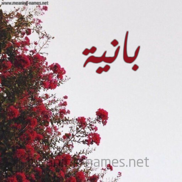 شكل 18 صوره الورد الأحمر للإسم بخط رقعة صورة اسم بانية BANIH