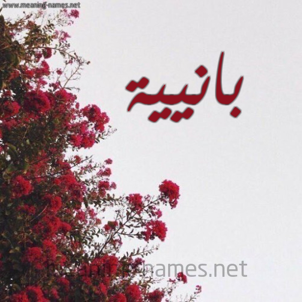 شكل 18 صوره الورد الأحمر للإسم بخط رقعة صورة اسم بانيية Bania