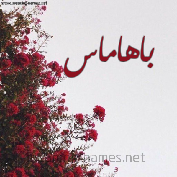 شكل 18 صوره الورد الأحمر للإسم بخط رقعة صورة اسم باهاماس BAHAMAS