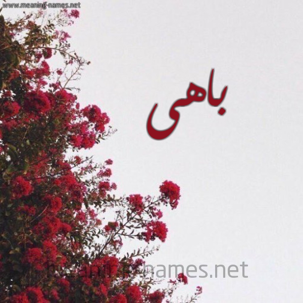 شكل 18 صوره الورد الأحمر للإسم بخط رقعة صورة اسم باهى BAHA