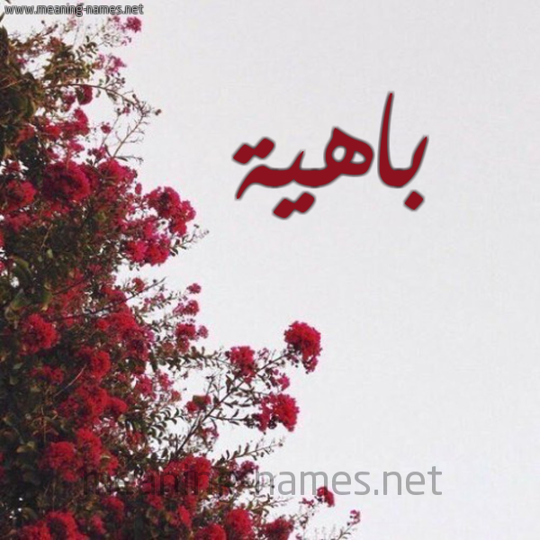 شكل 18 صوره الورد الأحمر للإسم بخط رقعة صورة اسم باهية Bahyh