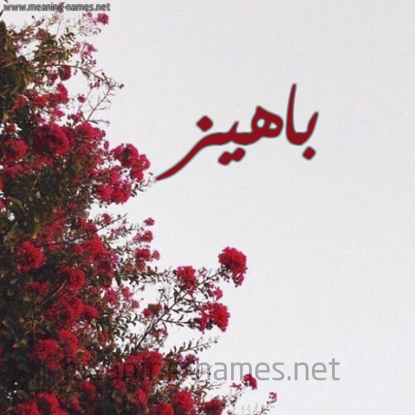 شكل 18 صوره الورد الأحمر للإسم بخط رقعة صورة اسم باهيز Bahyz