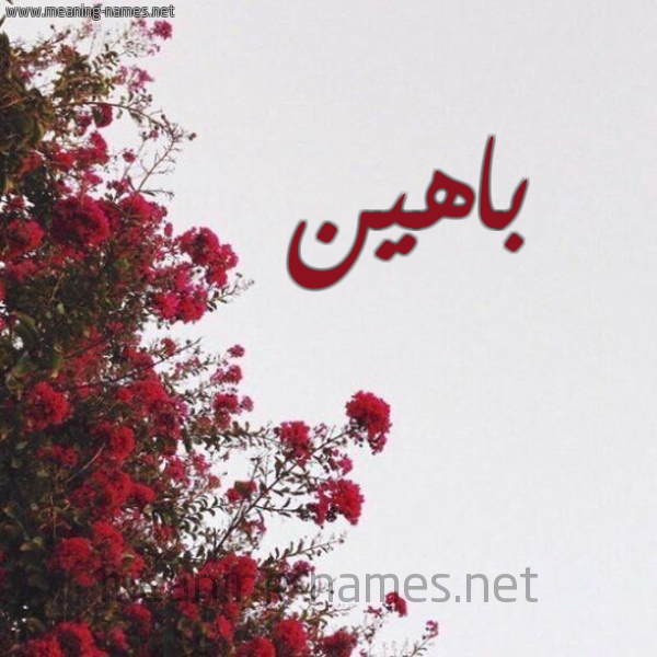 شكل 18 صوره الورد الأحمر للإسم بخط رقعة صورة اسم باهين Bahyn