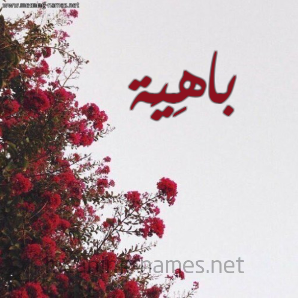 شكل 18 صوره الورد الأحمر للإسم بخط رقعة صورة اسم باهِيَة BAHEIAH