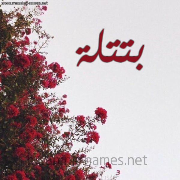 شكل 18 صوره الورد الأحمر للإسم بخط رقعة صورة اسم بتتلة Batlah