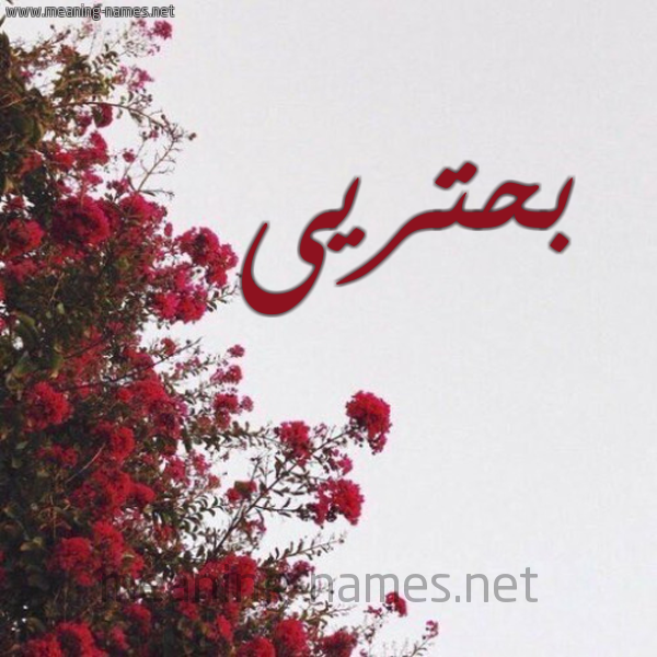 شكل 18 صوره الورد الأحمر للإسم بخط رقعة صورة اسم بحتريى Buhturi