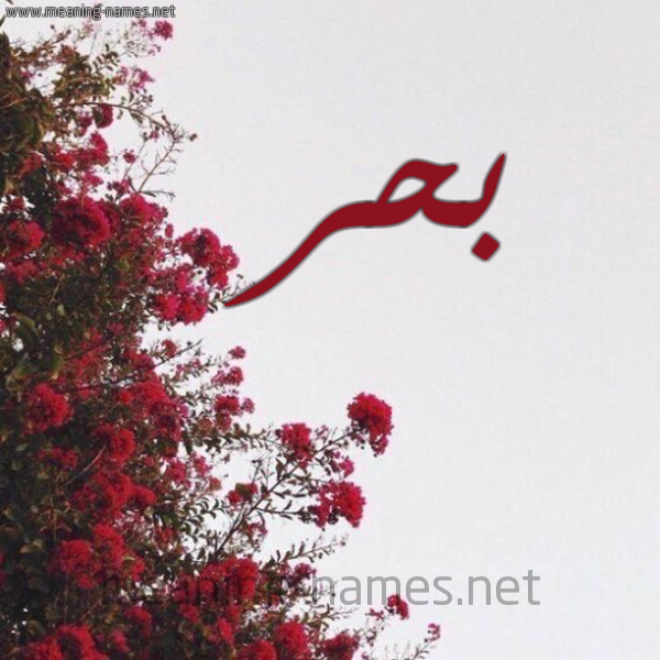 شكل 18 صوره الورد الأحمر للإسم بخط رقعة صورة اسم بحر Bahr