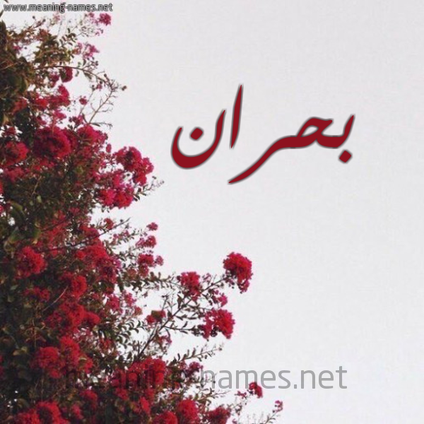 شكل 18 صوره الورد الأحمر للإسم بخط رقعة صورة اسم بحران Bhran